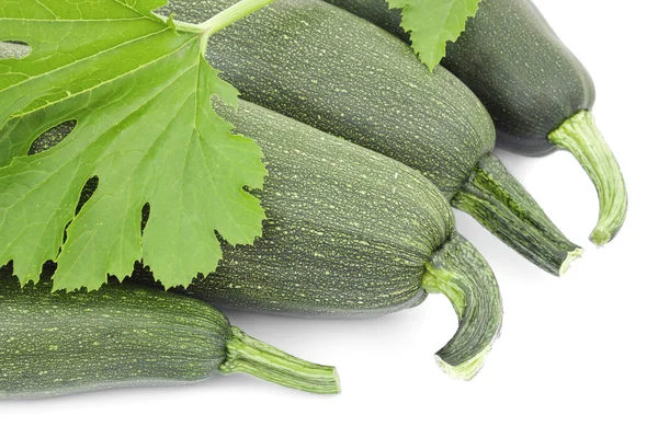Fyra stora zucchini — Stockfoto