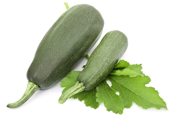 Due grandi zucchine — Foto Stock