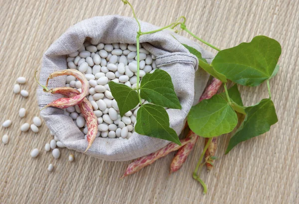 Beans in the sack — Stock Photo, Image
