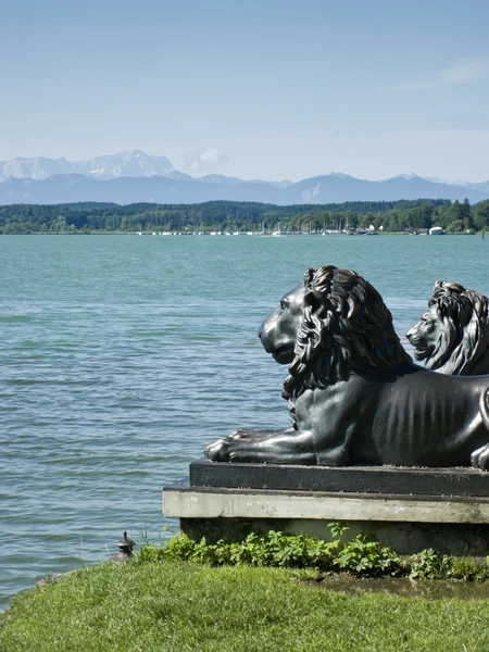 Lwy w jezioro starnberg — Zdjęcie stockowe