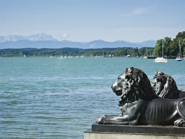 Löwen am Starnberger See — Stockfoto