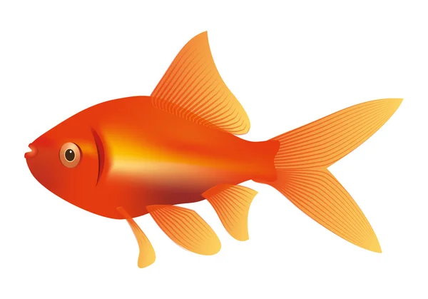 Золота рибка ілюстрація — стокове фото