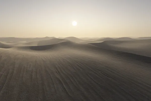 Sivatagi naplemente — Stock Fotó