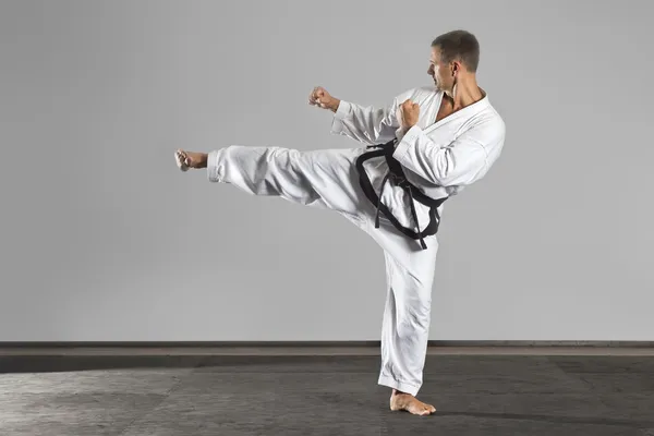 Martial arts meester — Stockfoto