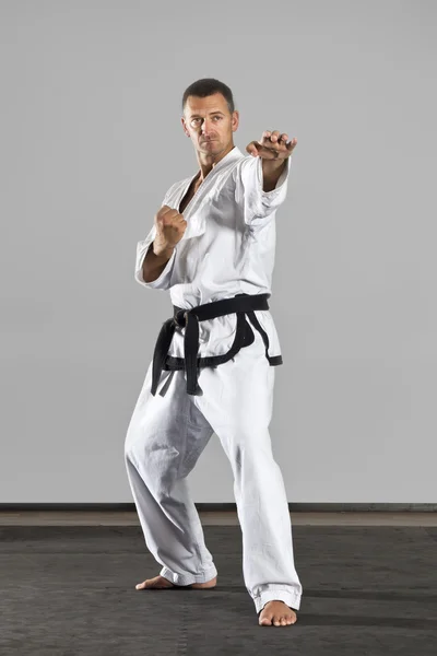 Meister der Kampfkunst — Stockfoto
