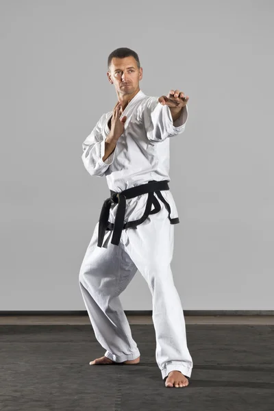 Mestre de artes marciais — Fotografia de Stock