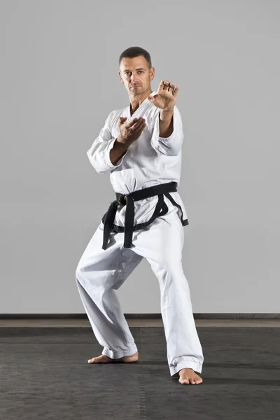 Maestro de artes marciales —  Fotos de Stock