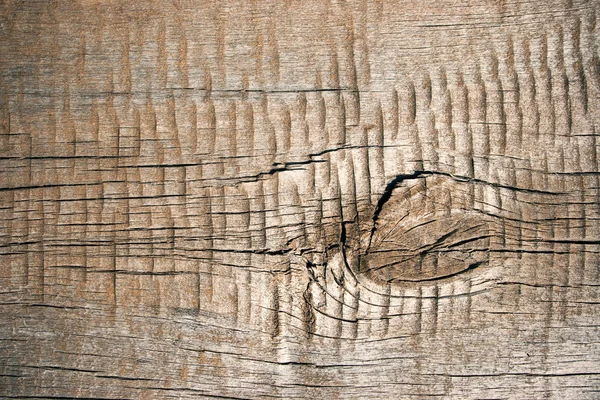 Old cracked wood — Stock Photo, Image