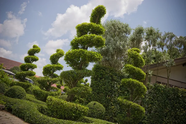 stock image Garden landscape