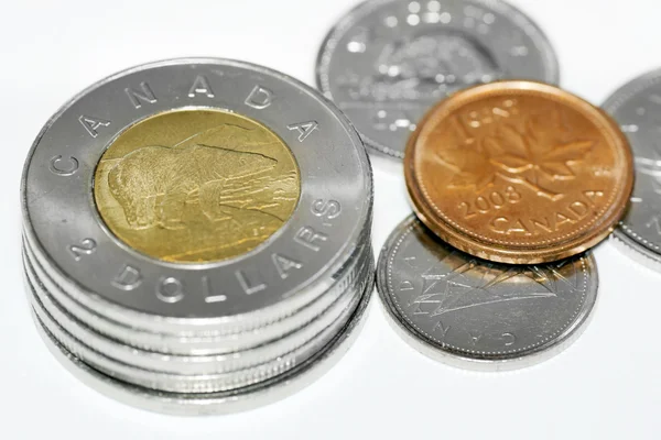 Kanadské lední medvěd mince — Stock fotografie