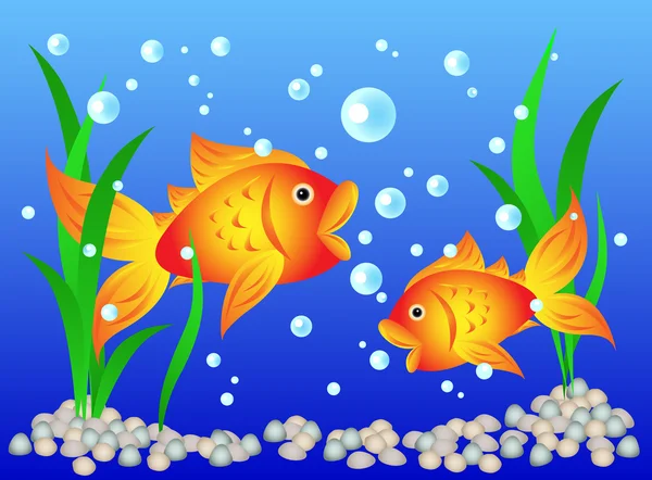Goldfish in aquarium — Stock Vector