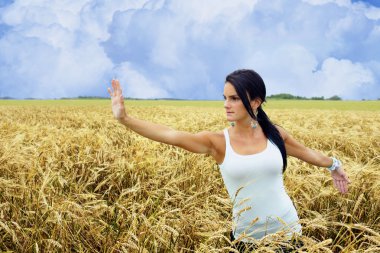 Tai chi in the field clipart