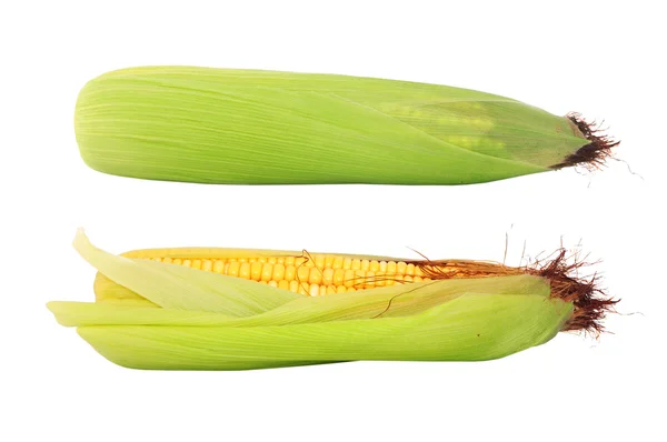 stock image Corn cobs