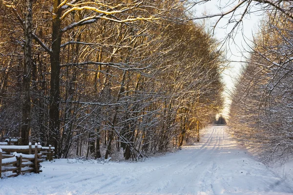 stock image Snow road