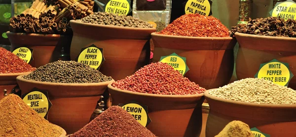 stock image Spices