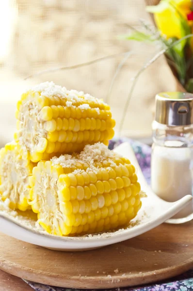 stock image Corn