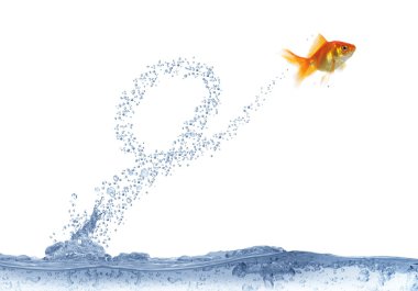 Executing after loop jump fish clipart