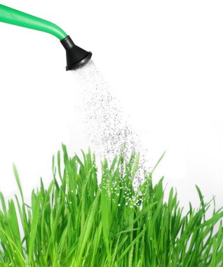 Grass and watering can clipart