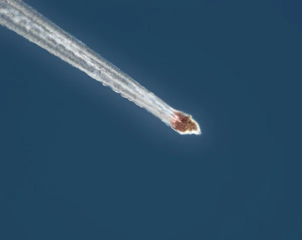 飛行流星 — ストック写真
