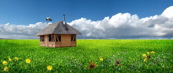 Маленький домик на лугу и аисте — стоковое фото