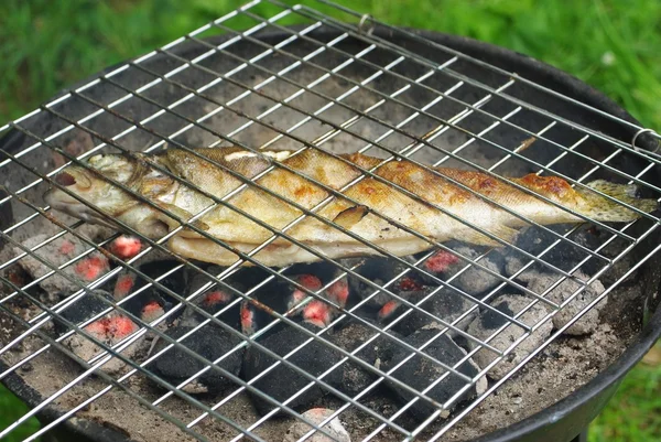 鳟鱼和 barbecque — 图库照片