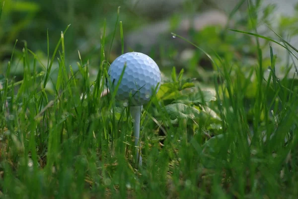 Белый мяч для гольфа — стоковое фото