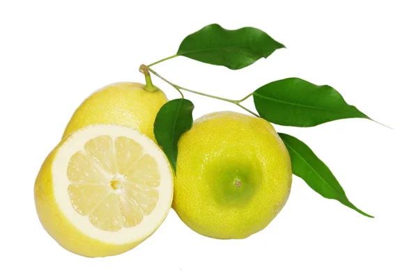 Citron med blad — Stockfoto