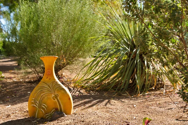 Gele klei pot in woestijn tuin — Stockfoto