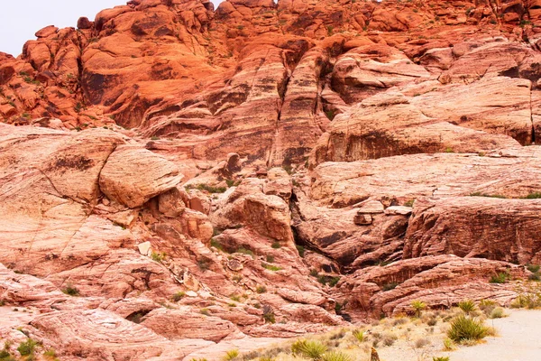 Red rock canyon väggarna stiger av öken — Stockfoto