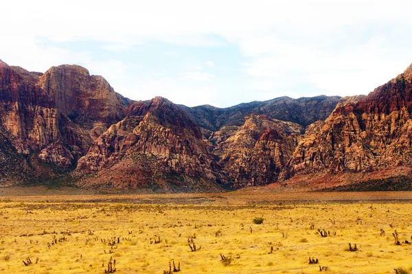 Červená skála hory vystupující z zlatý podklad pouště — Stock fotografie
