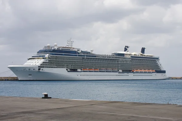 Enorme luxe cruise schip op een verre dok — Stockfoto