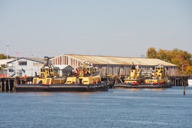 dört sarı tugs bir Harbor