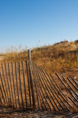 Fence by Dunes Vertical