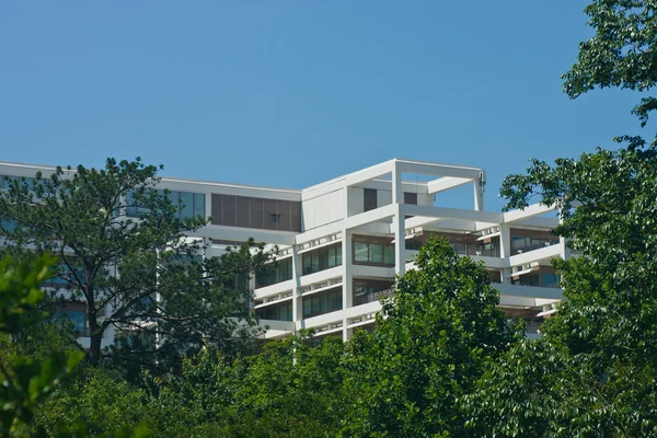 stock image White Terraced Office Building Rising out of Trees into Blue Sky