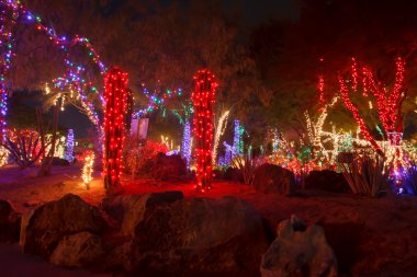Kırmızı ve beyaz Noel ışıkları bir rock Bahçe