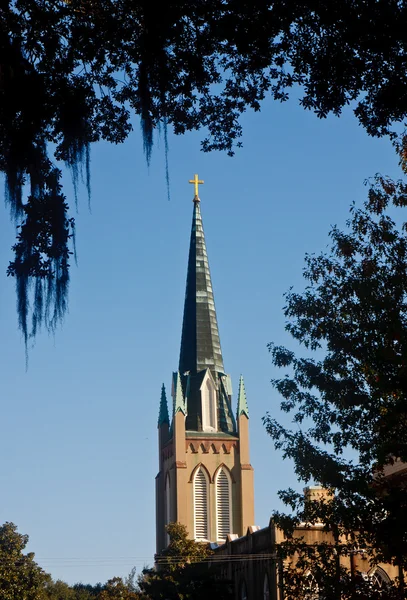 Steeple Through Trees and Spanish Moss — Stock Photo, Image
