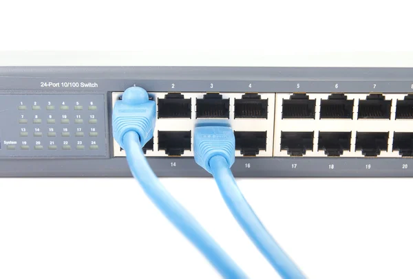 Zwei blaue Cat-5-Kabel, die in den Netzwerksschalter gesteckt werden — Stockfoto