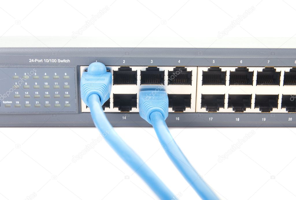 Two Blue Cat-5 Cables Plugged into Network Switch