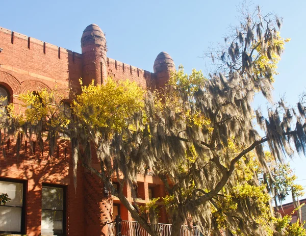 Spaans mos in boom buiten oude bakstenen gebouw — Stockfoto