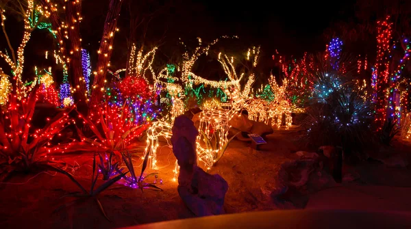 Multicolored Christmas Lights in Public Garden
