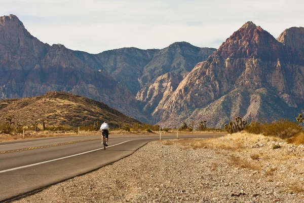 Ciclista na estrada através do deserto para as montanhas — Fotografia de Stock