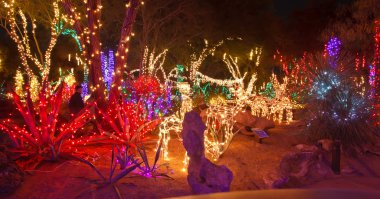 gece Bahçe birçok festival ve renkli Noel ışıkları