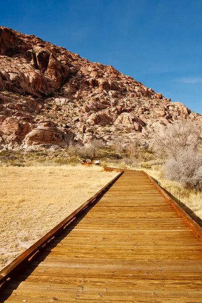 Board Walking Trail Through Desert Toward Mountains — Stock Photo, Image