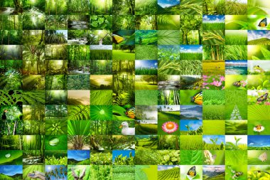 Nature wallpaper clipart