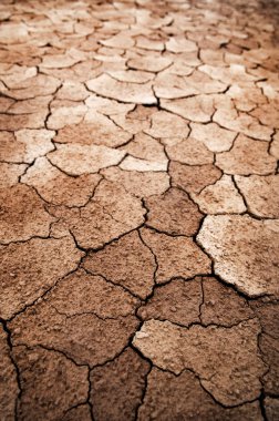 Dry cracked earth clipart