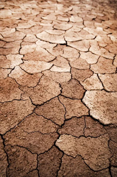 乾燥した地球 — ストック写真