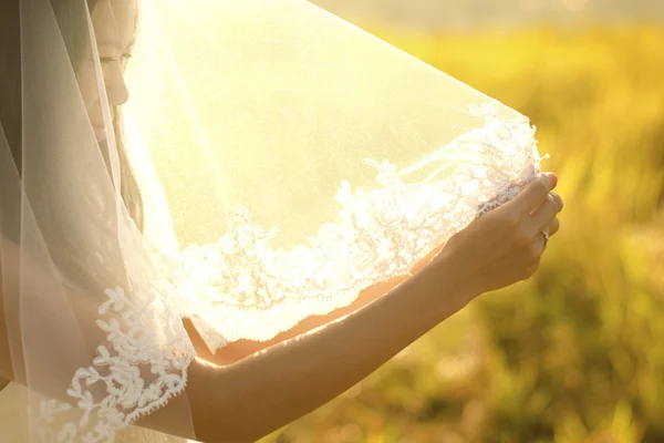 Braut unter Schleier. — Stockfoto