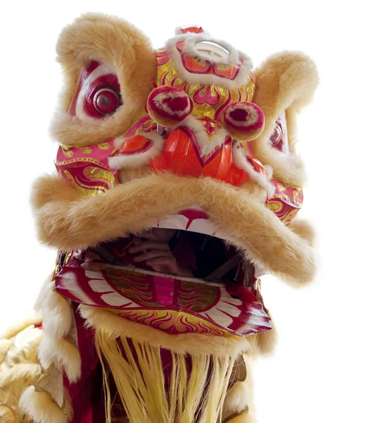 Китайський Лев танцюють — стокове фото