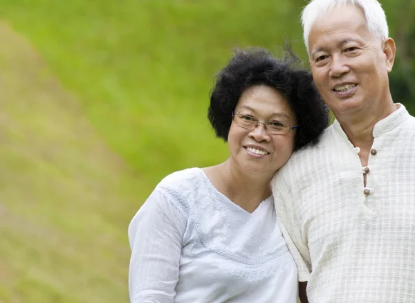 Ázsiai idősebb pár — Stock Fotó