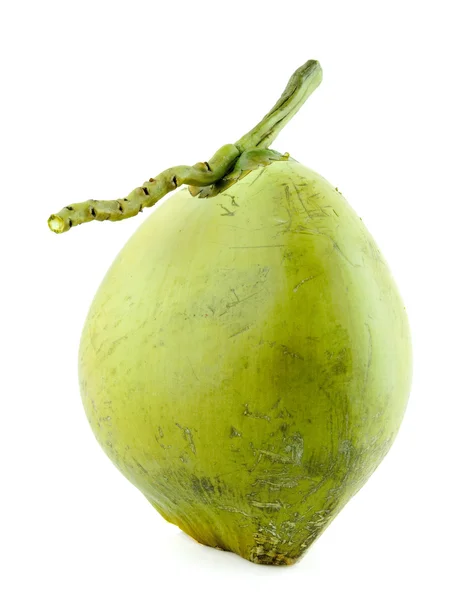 Kokosnoot vruchten — Stockfoto